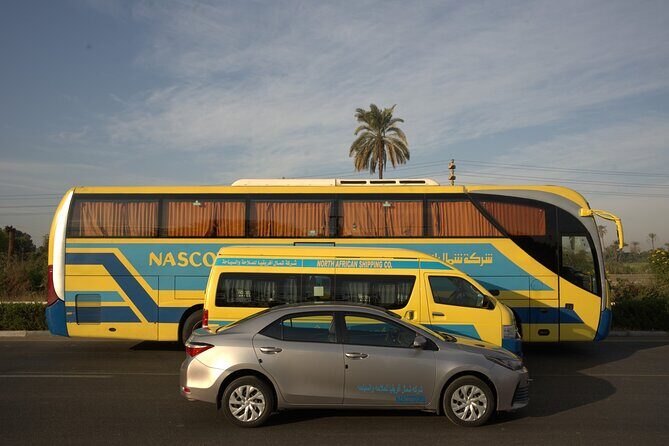 Private Transfer to Karnak Temple from Luxor Hotels - What to Expect from the Transfer Service