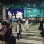 Private Transfers from Luxor airport to Hotels or to Nile Cruise - What the Experience Looks Like