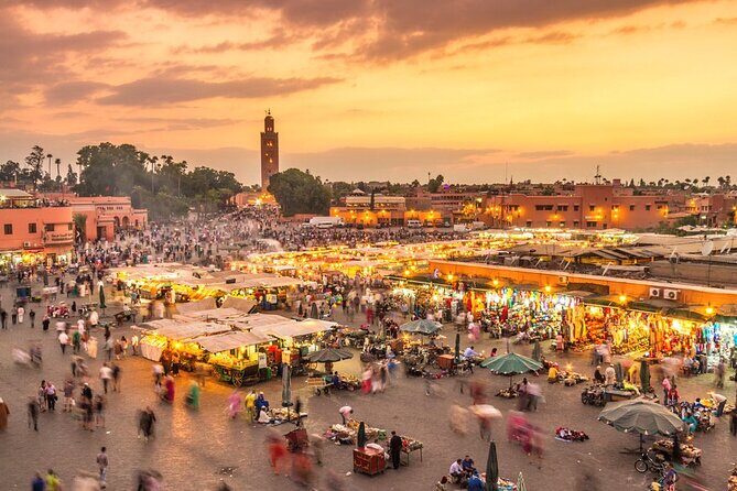 Private Transport from Agadir to Marrakech - Transportation Quality and Comfort