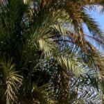 Private Transport to Hurghada from Luxor - What Reviewers Say and What You Can Expect