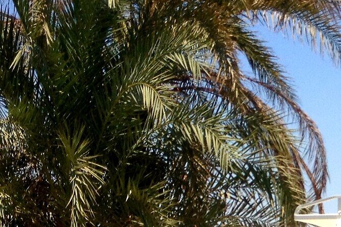 Private Transport to Hurghada from Luxor - What Reviewers Say and What You Can Expect