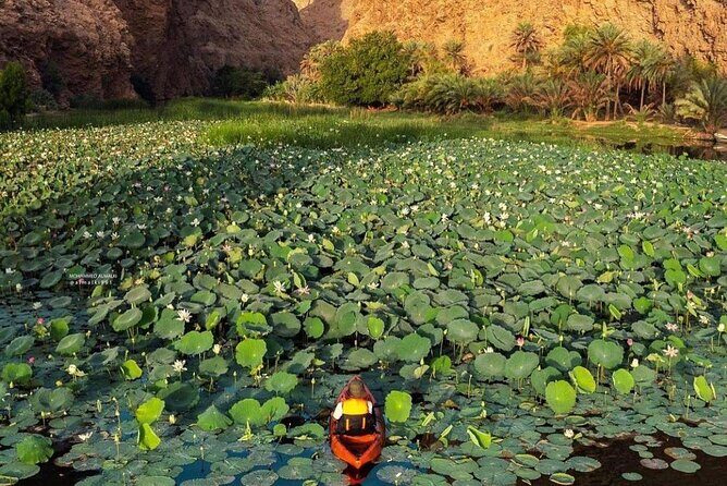 Private Trip in Wadi Shab - Key Points