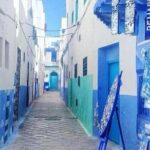 Private Trip to Asilah - Detailed Breakdown of the Itinerary