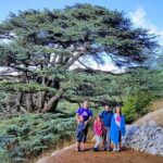 Private Trip to Beiteddine, Deir el Qamar & Maaser el Chouf Cedars - The Peaceful Beauty of the Chouf Cedars