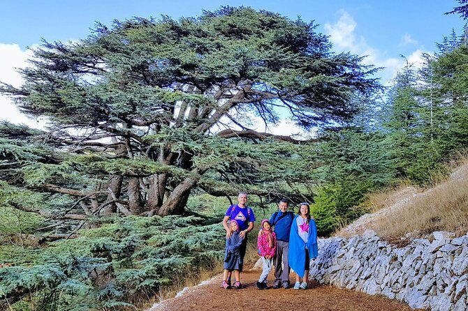 Private Trip to Beiteddine, Deir el Qamar & Maaser el Chouf Cedars - The Peaceful Beauty of the Chouf Cedars