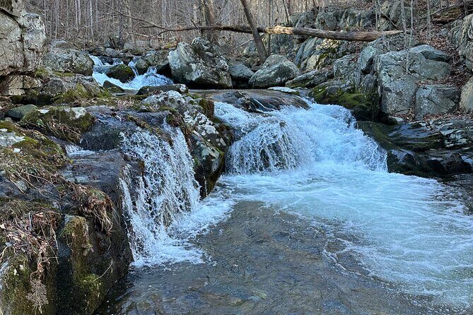 Private Trout Fishing Excursion in Virginia - Practical Details: What You Need to Know
