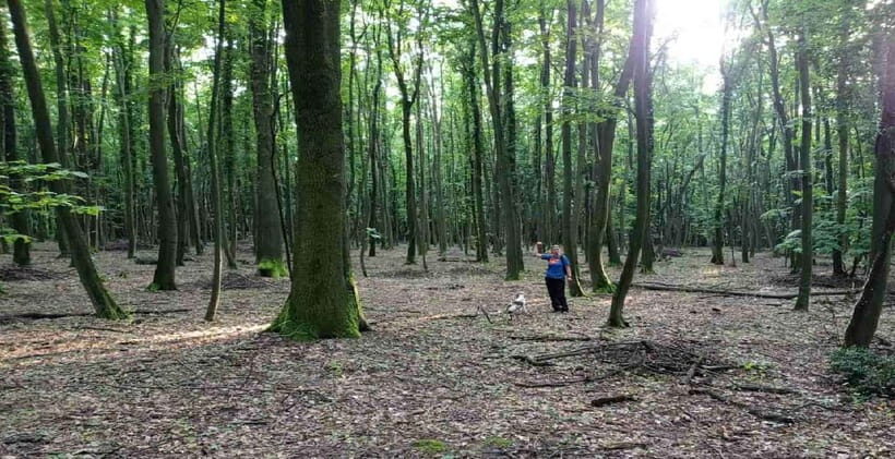 Private TruffleHunting Tour from Belgrade  Lunch with Wine - Practical Details and What to Expect