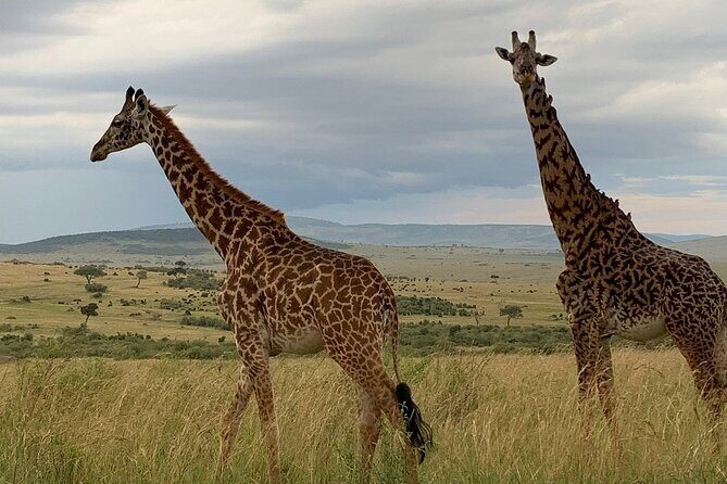 Private Tsavo East Tour - An In-Depth Look at the Private Tsavo East Tour