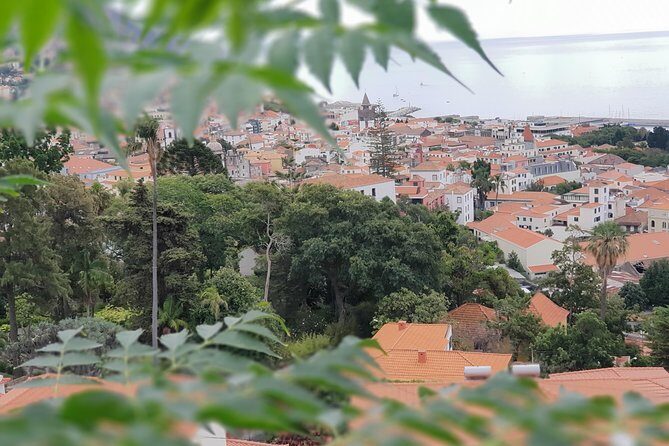 Private Tuk Tuk Tour to Old Town + Monte in Funchal - FAQs