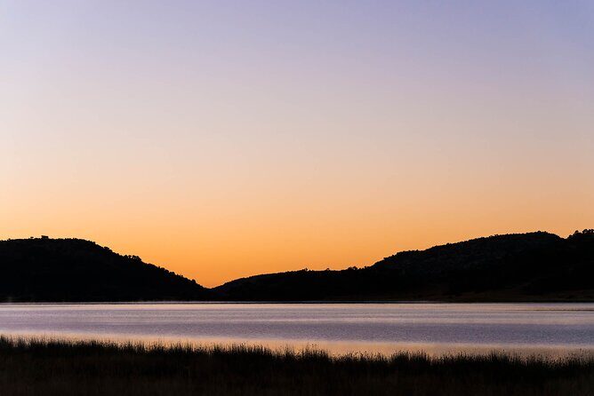 Private Ultimate Pilanesberg Safari from Johannesburg - Transportation & Logistics: Why It Matters