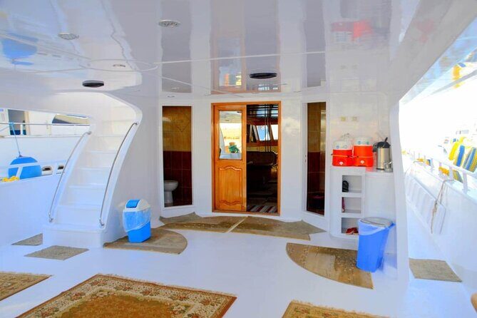 Private VIP Boat Snorkeling Day To White Island And Ras Mohamed - What Makes This Tour Stand Out