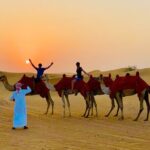 Private VIP Desert Safari for Families with BBQ Dinner (Private) - An Honest Look at the Desert Safari Experience
