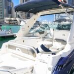 Private: VIP Luxury Yacht Tour With BBQ & Drinks - Exploring Dubai from the Water: What to Expect