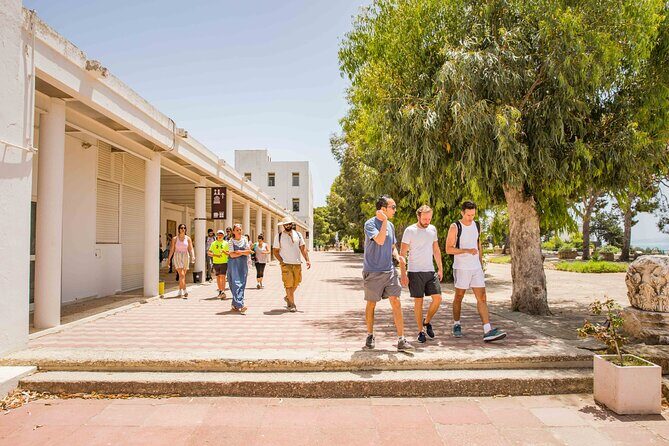 Private Walking Tour of Carthage Archaeological Site in Tunisia - Authentic Insights from Reviewers