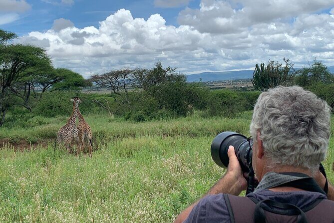 Private Walking Tour with Giraffes - Practical Details and Tips