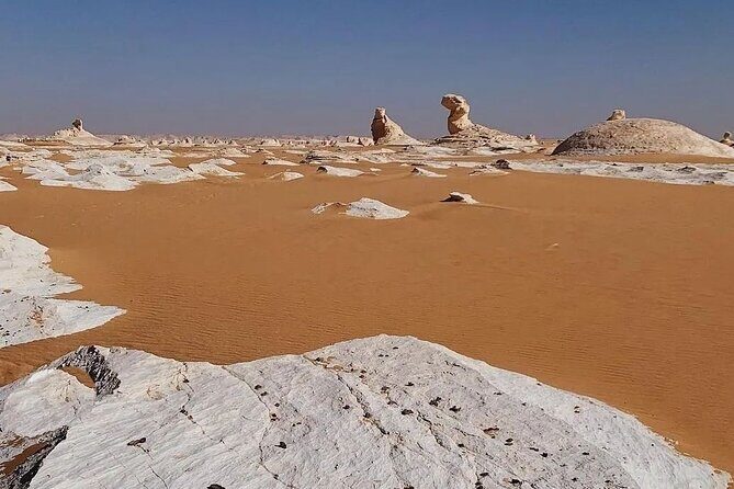 Private White Desert tour one Full day from Cairo - Authentic Experiences and Insights from Reviewers