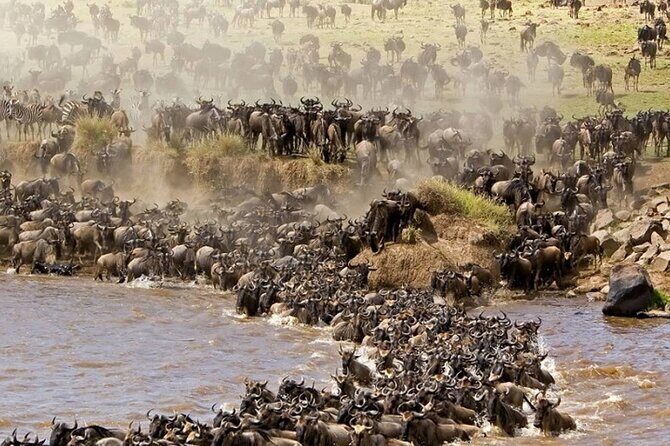 PRIVATE Wildebeest Calving Safari, Tanzania, January to March - What Sets This Safari Apart?