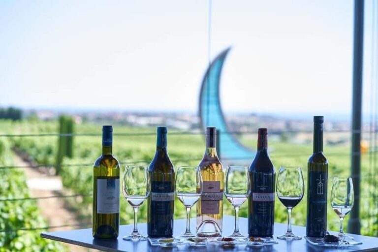 Private Wine & Museum Tour at Gerovassiliou Winery - Exploring Gerovassiliou Winery’s Grounds and Vineyard Walk