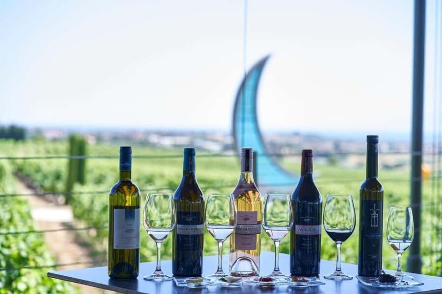 Private Wine & Museum Tour at Gerovassiliou Winery - Exploring Gerovassiliou Winery’s Grounds and Vineyard Walk