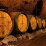 Private Wine Tasting Day Tour from Beirut - Exploring the Itinerary: What You Can Expect