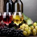 PRIVATE Wine Tasting Tour to the Bekaa Valey Fabulous Wineries - Itinerary Breakdown: What to Expect at Each Stop