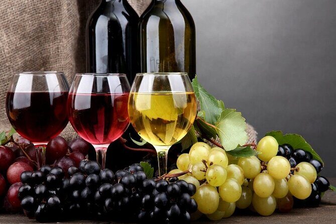 PRIVATE Wine Tasting Tour to the Bekaa Valey Fabulous Wineries - Itinerary Breakdown: What to Expect at Each Stop