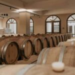 Private Wine Tour - The Value of This Experience