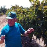 Private wine tour of Northern Israel - Detailed Breakdown of the Itinerary