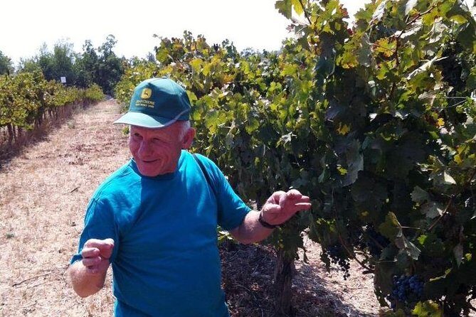 Private wine tour of Northern Israel - Detailed Breakdown of the Itinerary