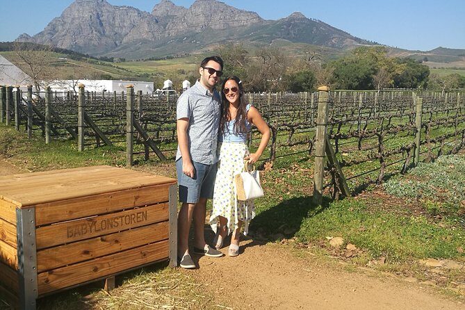 Private Wine Tour of Stellenbosch, Franschhoek and Paarl - The Significance of Private and Customizable Tours