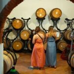 Private wine tour on the magical hills of Lucca (2 wineries) - Authenticity & Review Highlights