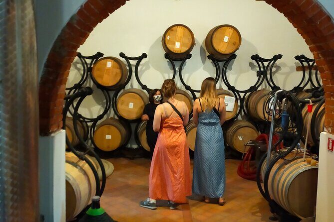 Private wine tour on the magical hills of Lucca (2 wineries) - Authenticity & Review Highlights