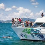 Private Yacht Cruise to Dolphin House with Lunch : Hurghada - Who Will Love This Tour?