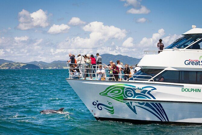 Private Yacht Cruise to Dolphin House with Lunch : Hurghada - Who Will Love This Tour?