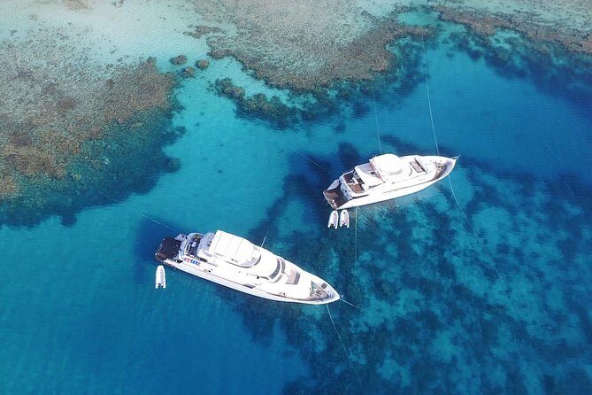Professional 2 Stops Scuba Diving Full Day Boat Trip - Hurghada - Why This Tour is a Great Choice