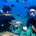 Professional Diver Two Stops Dives & Lunch, transferHurghada - FAQ