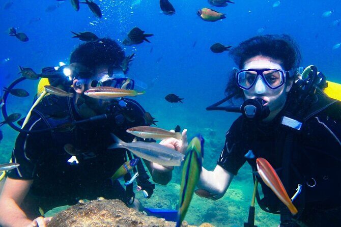 Professional Diver Two Stops Dives & Lunch, transferHurghada - FAQ