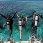 Professional Guided Scuba Diving: Swim with colorful fish. - Why Choose This Tour?