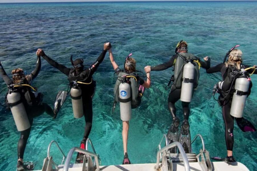 Professional Guided Scuba Diving: Swim with colorful fish. - Why Choose This Tour?