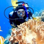 Professionals Scuba Diving 2 Stops Full Day Sea Trip - Hurghada - Possible Considerations
