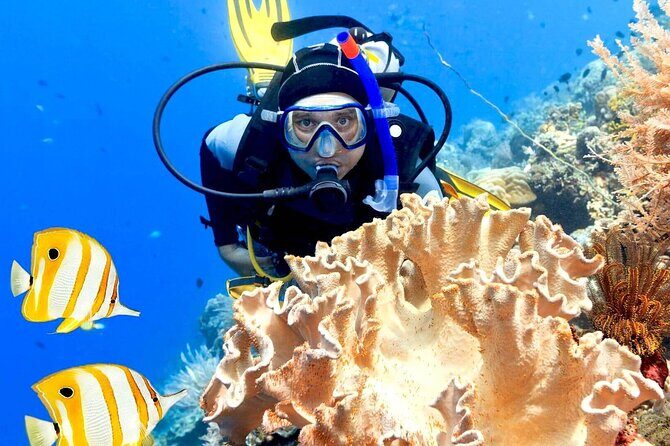Professionals Scuba Diving 2 Stops Full Day Sea Trip - Hurghada - Possible Considerations