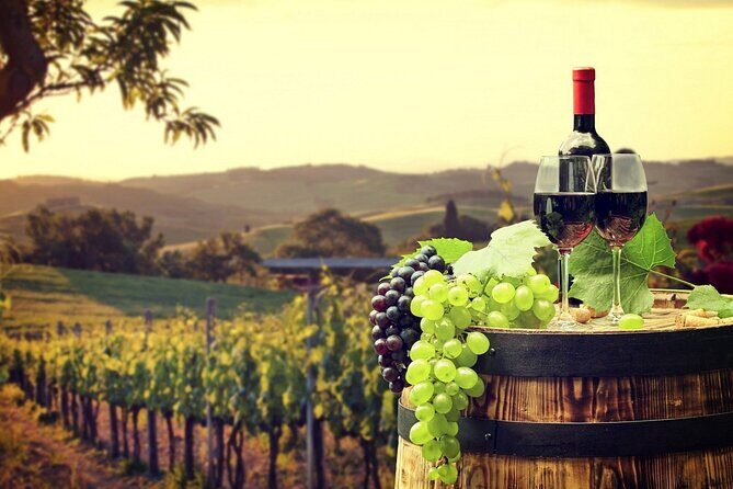 Provence Organic Wine Tasting Half Day Tour from Nice - Transportation & Group Size