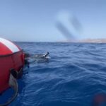 Puerto del Carmen: Freediving Try Dive in Pool or Open Water - What to Expect During Your Freediving Try Dive