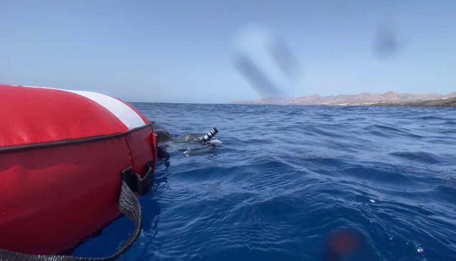 Puerto del Carmen: Freediving Try Dive in Pool or Open Water - What to Expect During Your Freediving Try Dive