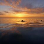 Pula: Private Sunset Boat Trip with Dolphins - Why This Tour Offers Genuine Value