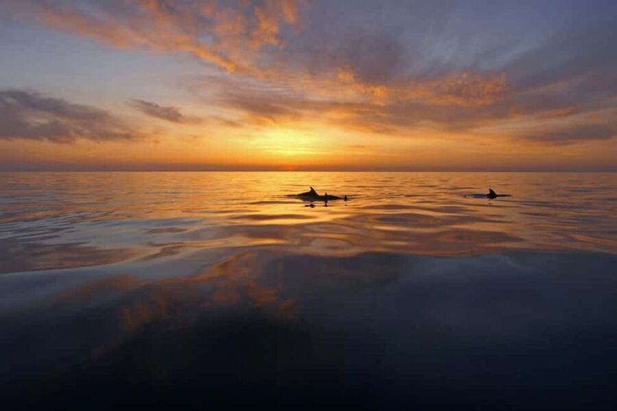 Pula: Private Sunset Boat Trip with Dolphins - Why This Tour Offers Genuine Value