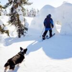 Pyhä: Skiing Tour in Arctic Forest - Frequently Asked Questions