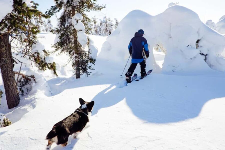 Pyhä: Skiing Tour in Arctic Forest - Frequently Asked Questions