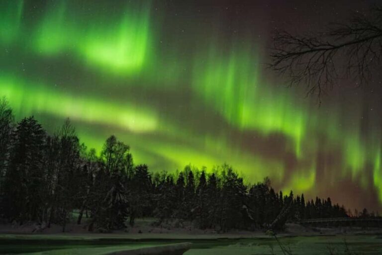 Pyhätunturi: Northern Lights Hunting Tour with Hot Drinks - The Sum Up