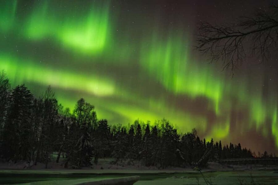Pyhätunturi: Northern Lights Hunting Tour with Hot Drinks - The Sum Up